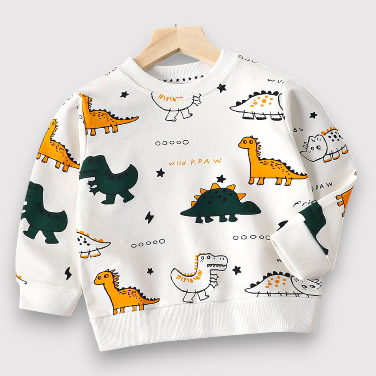 Dinosaour Sweatshirt
